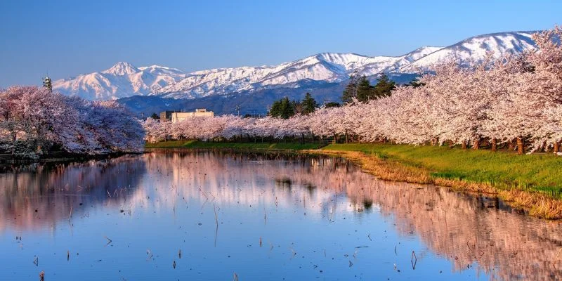 United Airlines Niigata Office in Japan