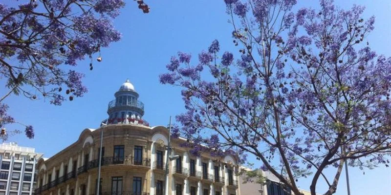 Czech Airlines Almeria Office in Spain