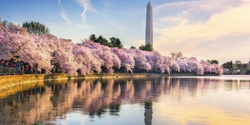 Thai Airways Washington DC Office in USA